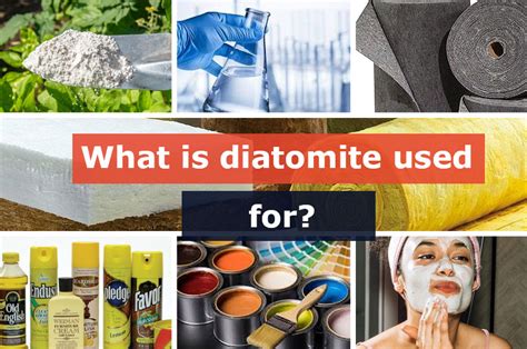  Diatomit – Ein Wundermittel der Natur für die Filtration und Wärmedämmung!