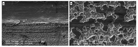  Molybdenum Disulfide: Revolutionizing Tribological Coatings and 2D Electronics!